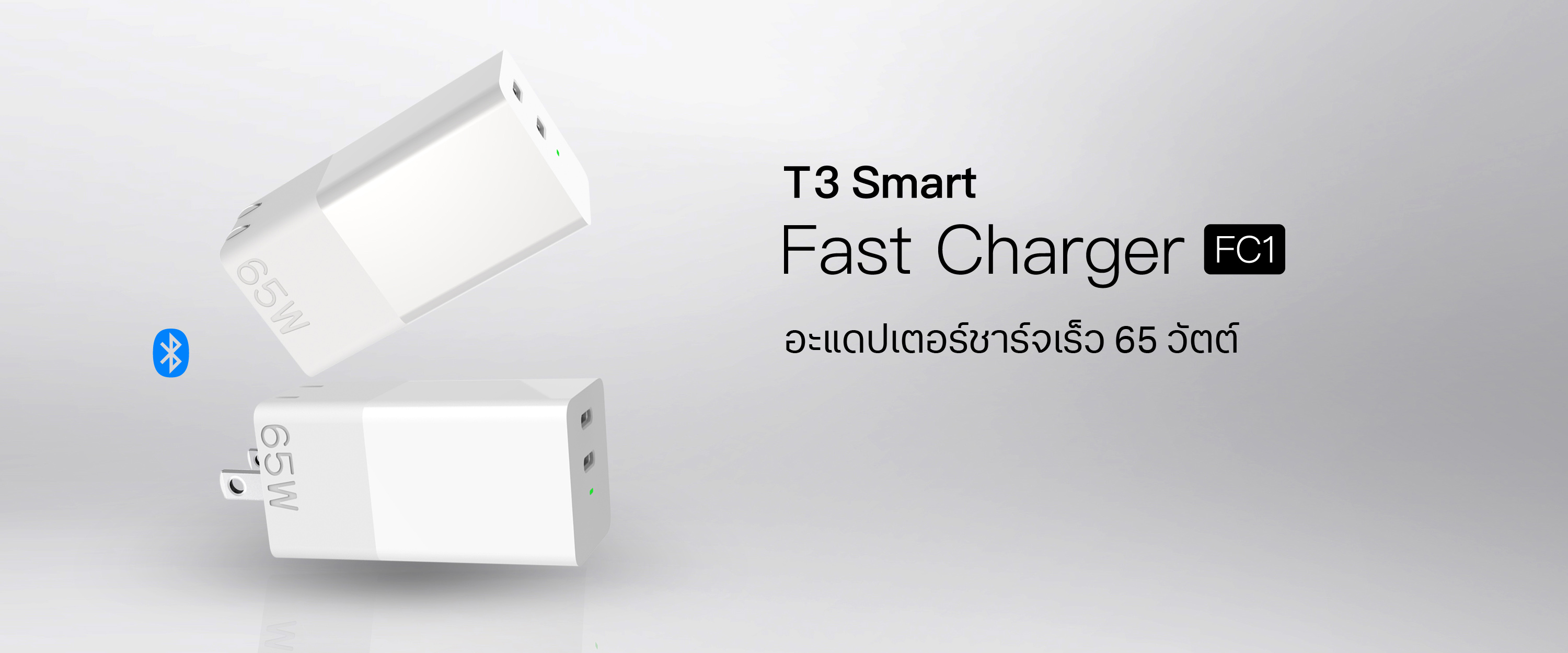 T3 Smart Fast Charger FC1