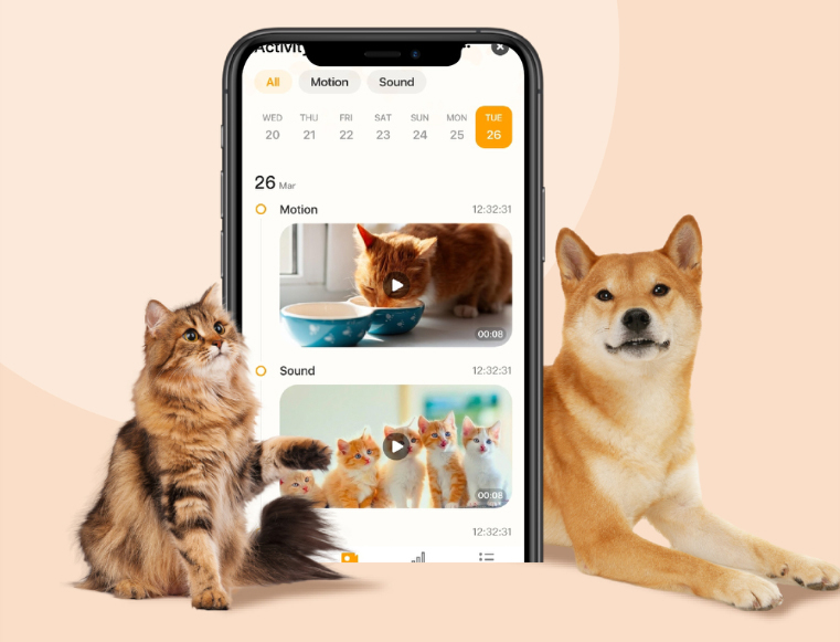 Pet activity timeline on a phone between a cat and a dog