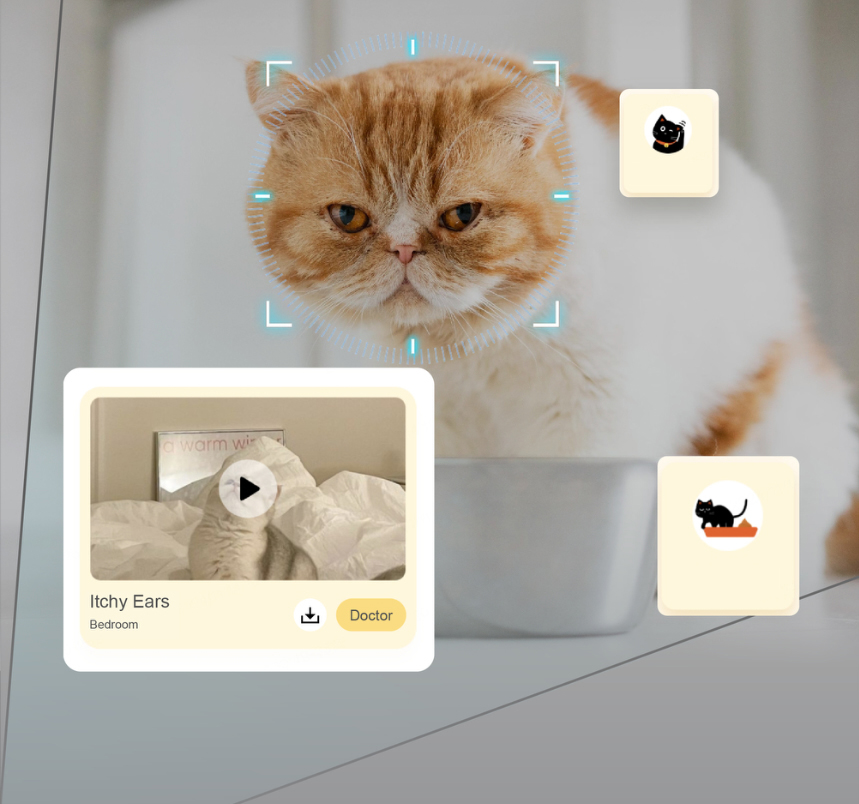 Pet behavior detection interface showing a cat, an itchy-ear recording and an abnormal bowel movement alert