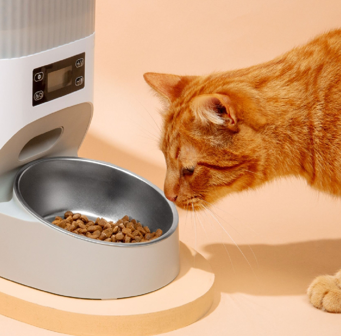 A cat enjoying a meal from a pet feeder