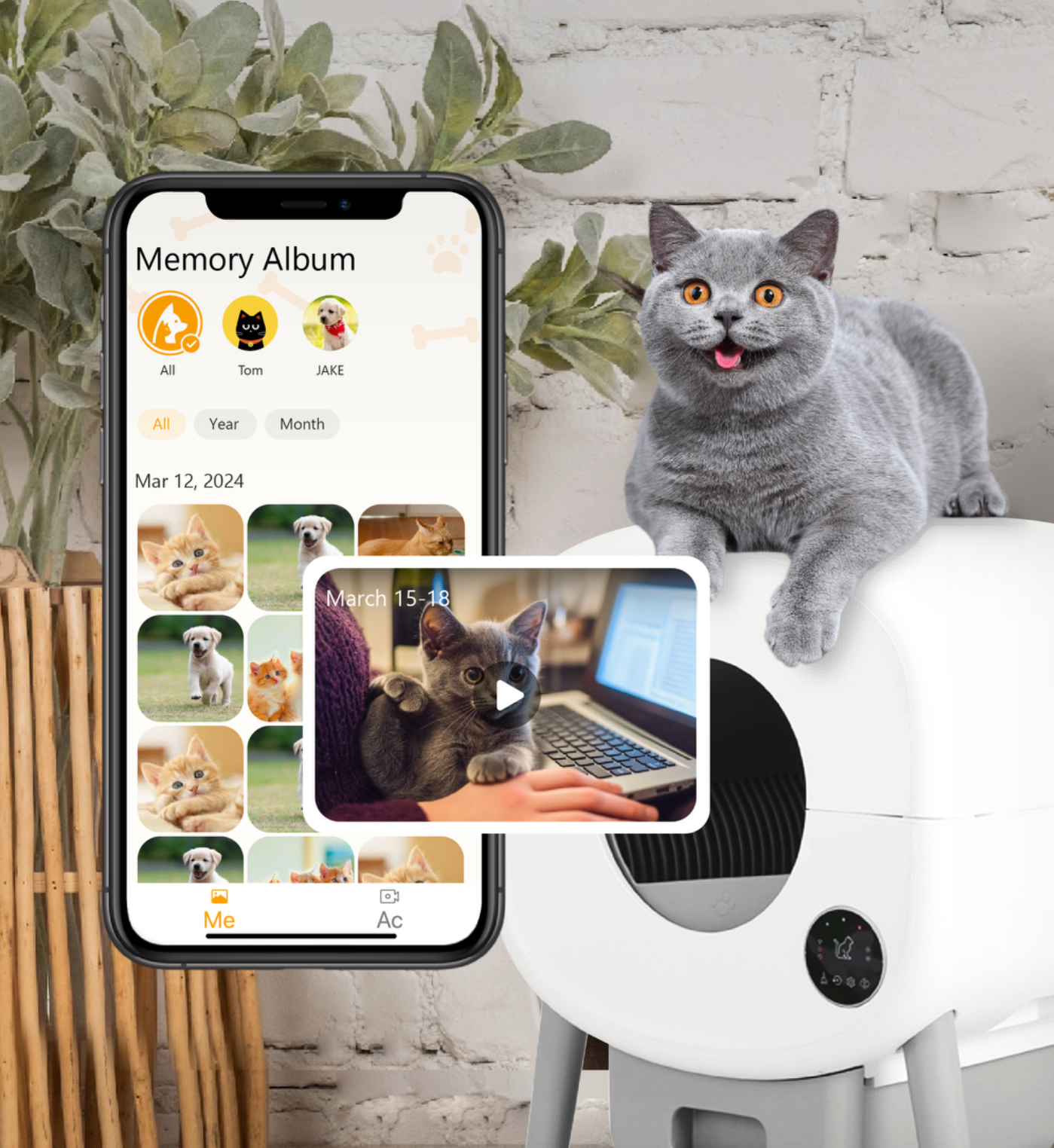 Pet memory album on a phone beside a cat, with saved photos and a video preview