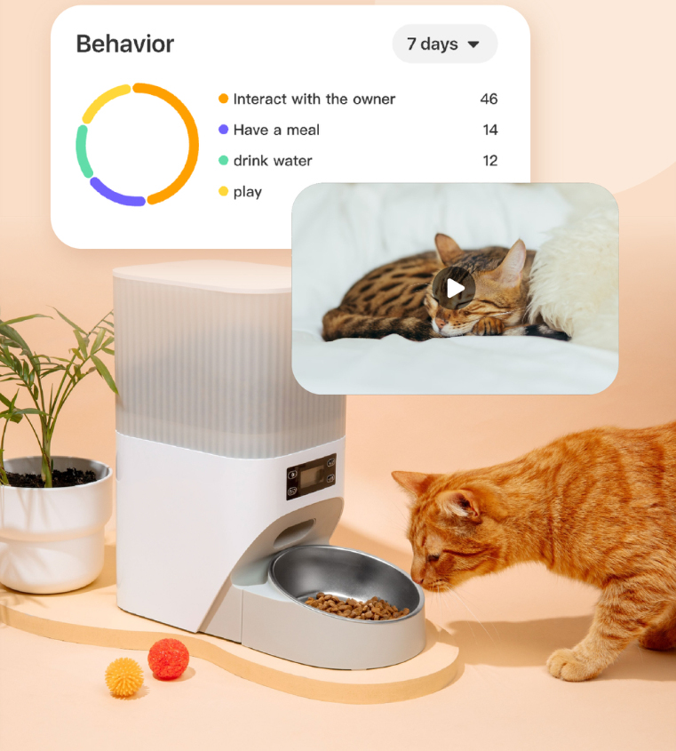 Weekly pet behavior chart with a resting cat and a cat at a feeder