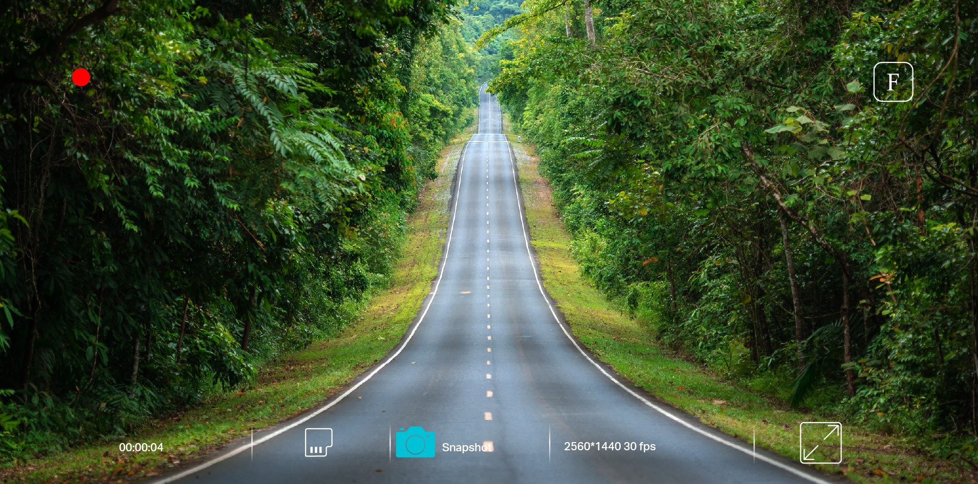 Road and forest scene from the supplied wide dynamic range reference