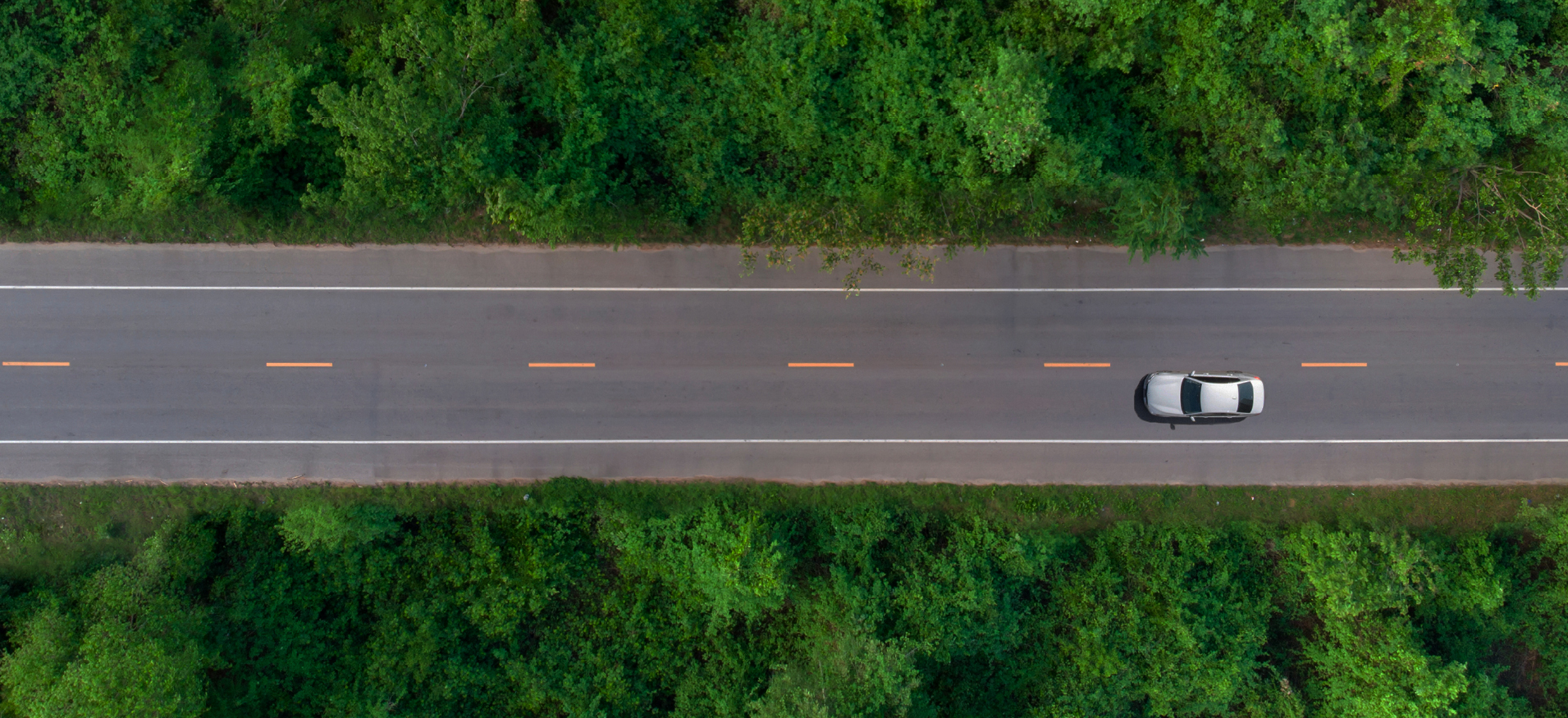 Car on a tree-lined road