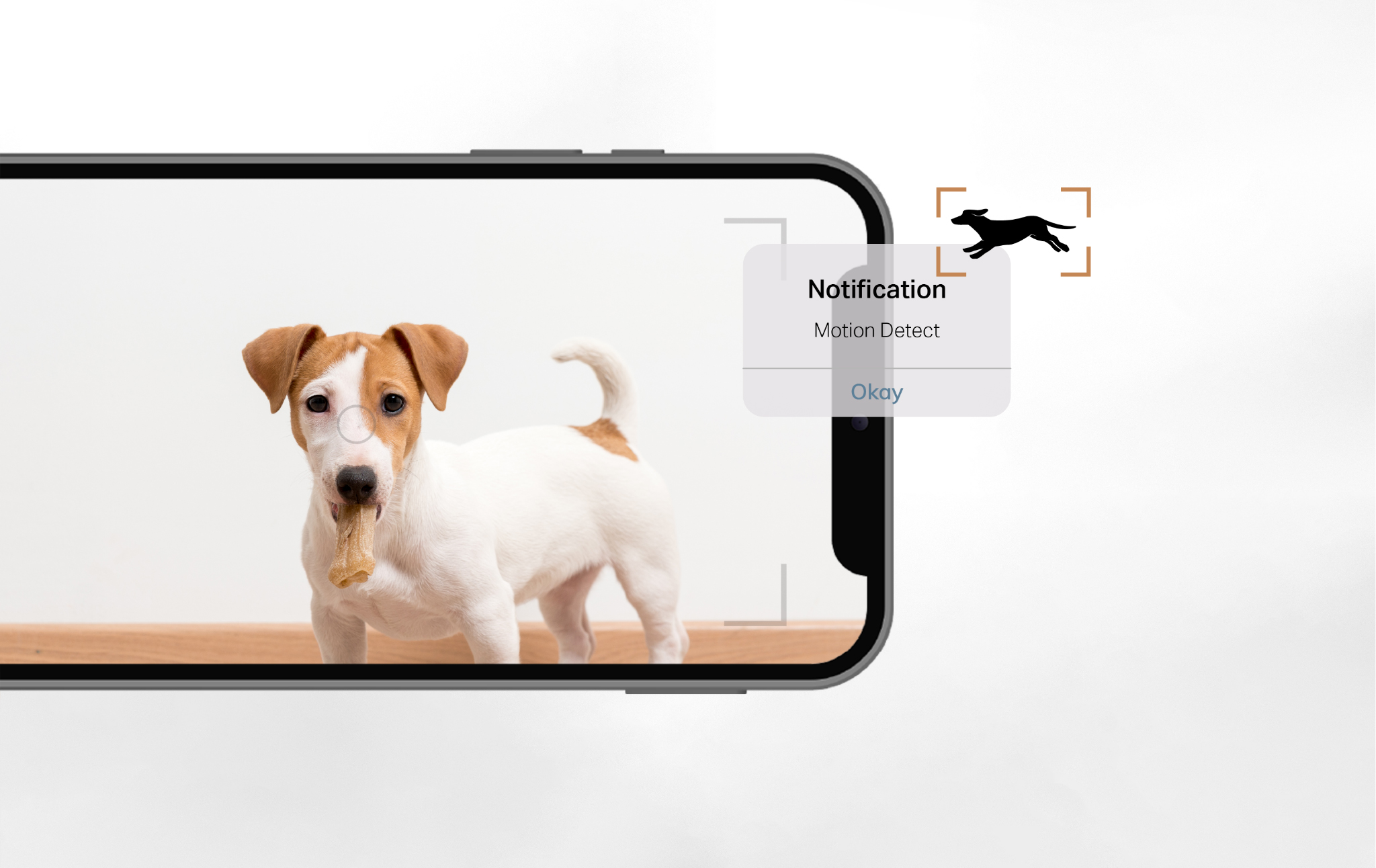 Pet camera view with a motion detection notification