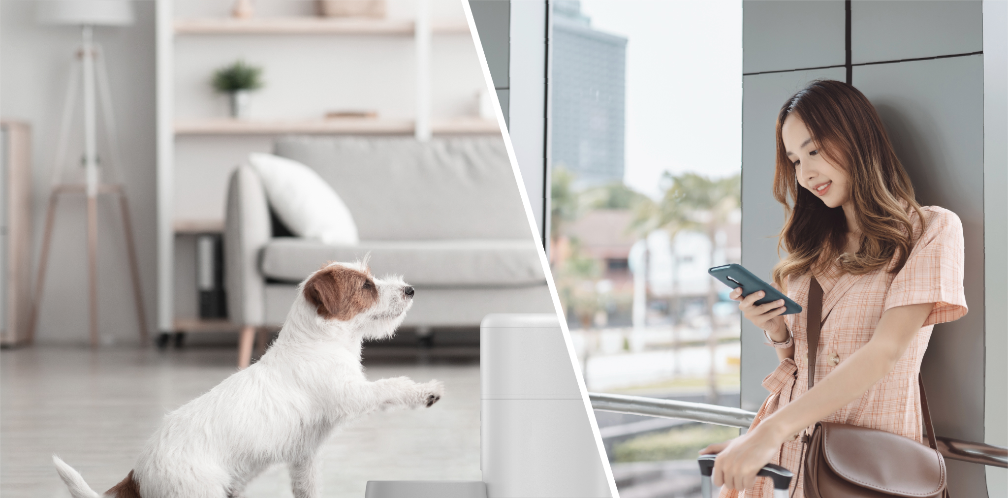 A dog at home and its owner using her phone outdoors