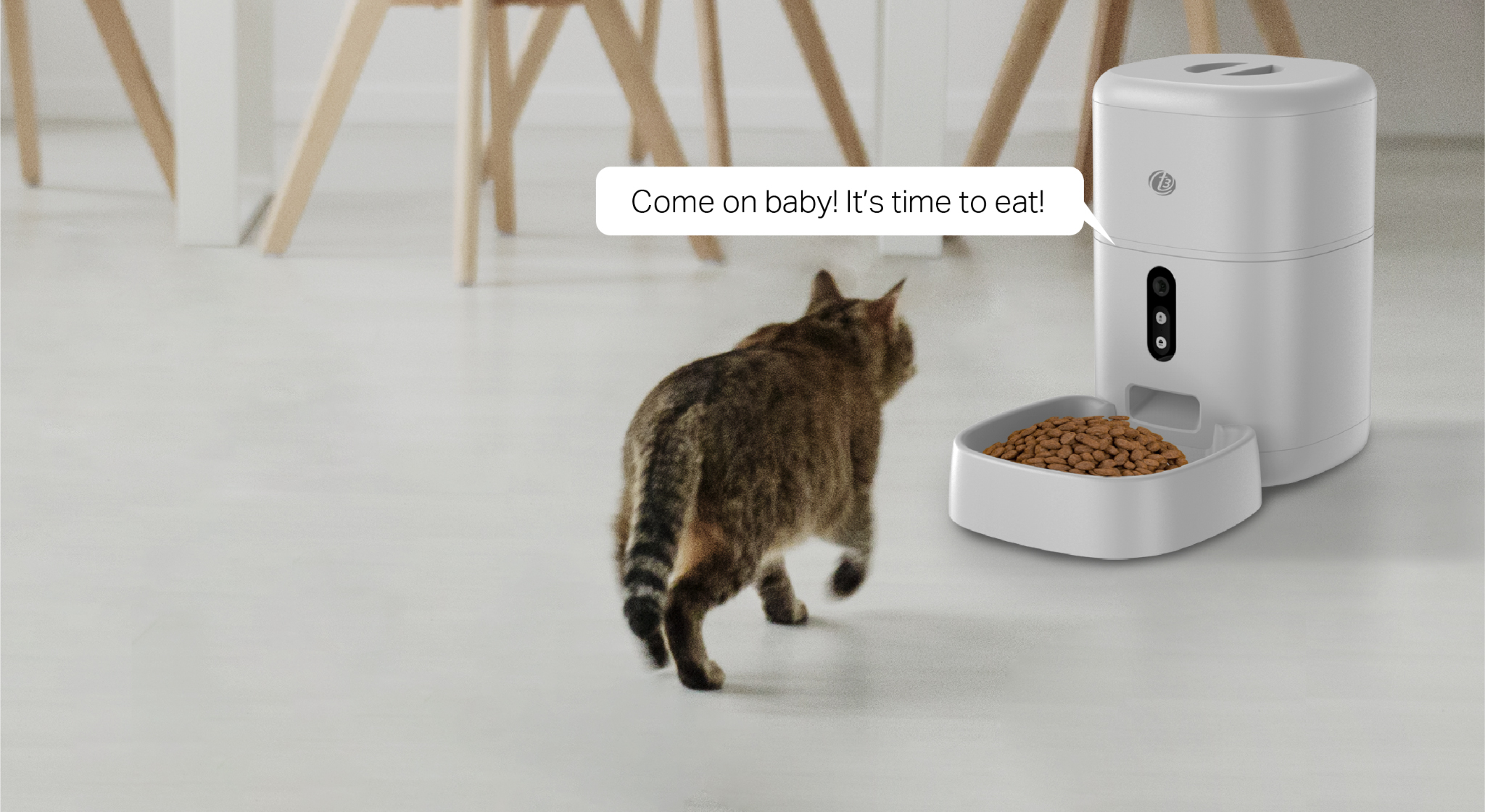 A cat beside the PF1 feeder with a recorded voice message