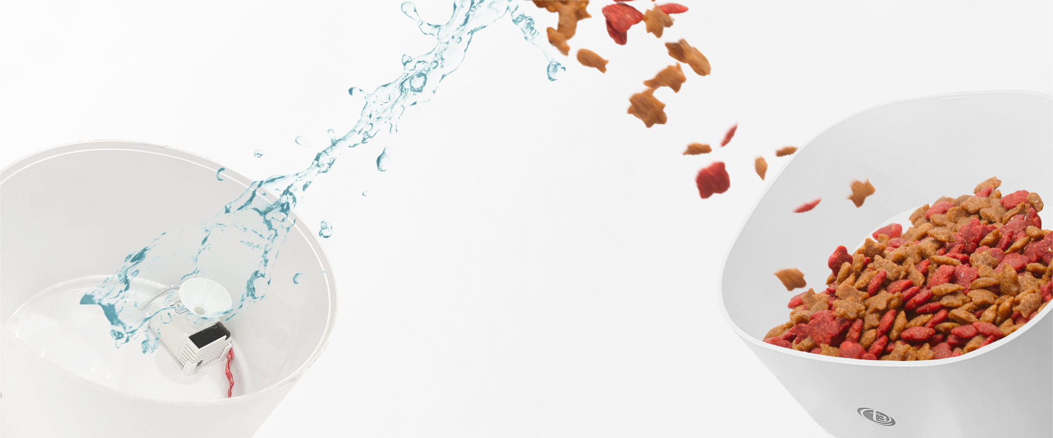 Water and dry food being added to the fountain and feeder