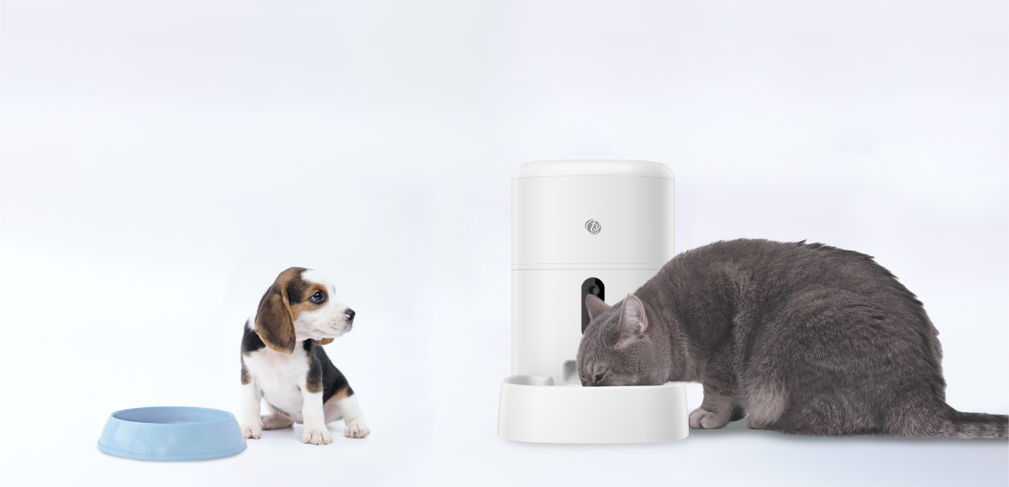 A puppy with a traditional bowl and a cat eating from the smart feeder