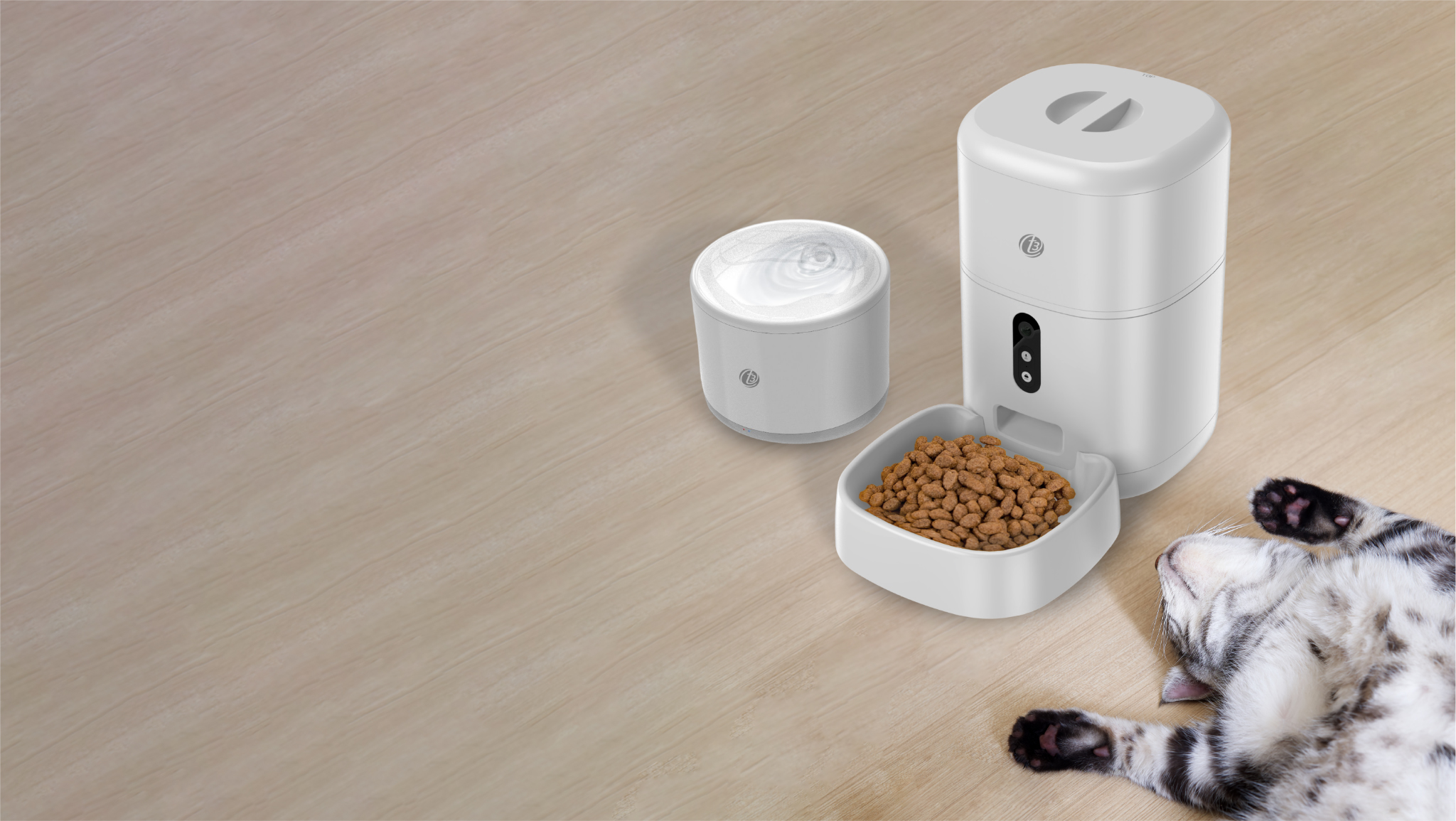 Smart feeder and fountain beside a resting cat