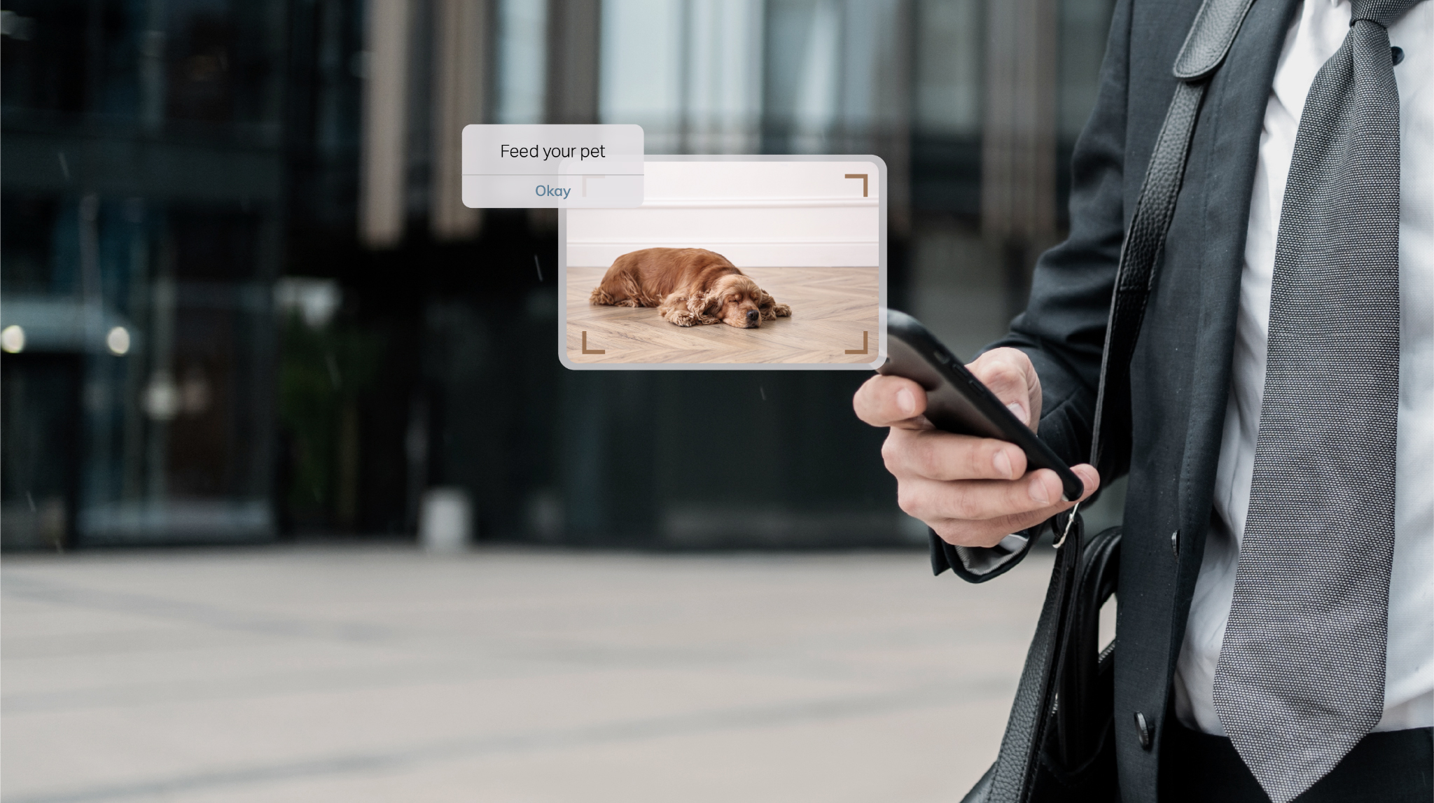 A person remotely feeding a pet using a smartphone