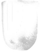 Large bullet-shaped ice